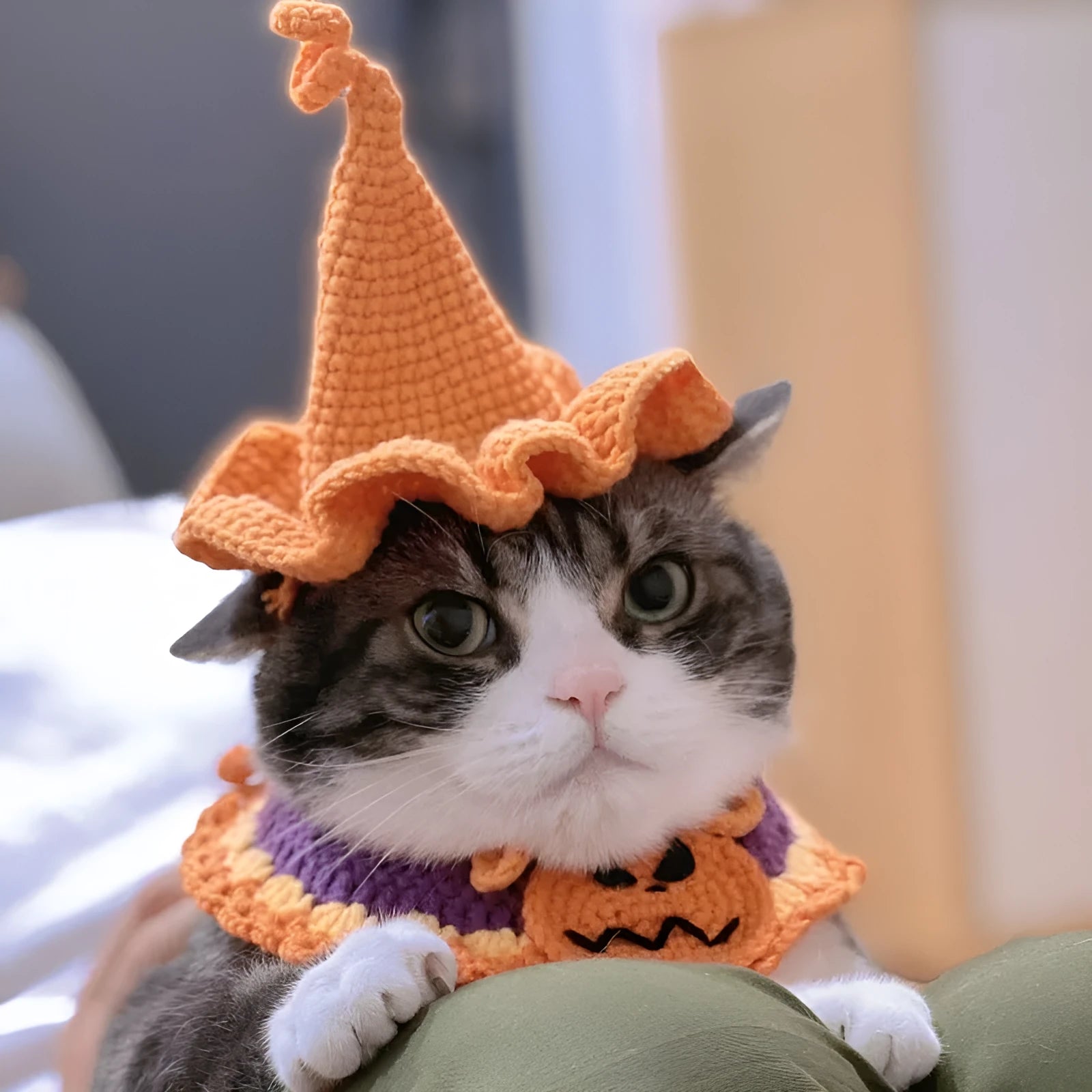 Wool triangle scarf for dogs and cats with jacquard Halloween bib patterns like bat and pumpkin, plus matching hat.
