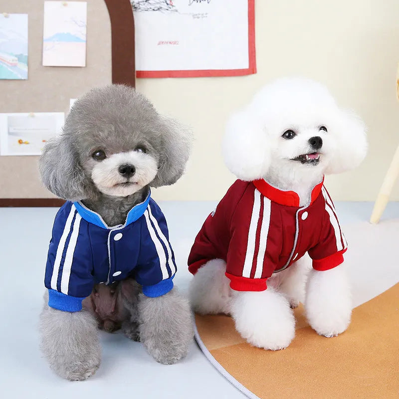 Red cotton dog coat with V-shaped splicing design on a dog