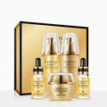 24k Gold Pet Skin Care Kit with facial care set for dogs and cats, 100ml 50g 15ml volumes