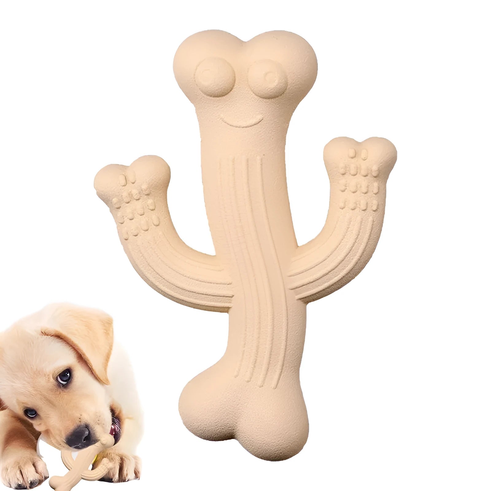 Cactus-shaped dog chew toy in bamboo fibre and rubber available in small and large sizes