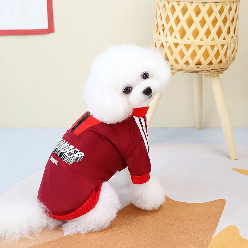 Red cotton dog coat with V-shaped splicing design on a dog