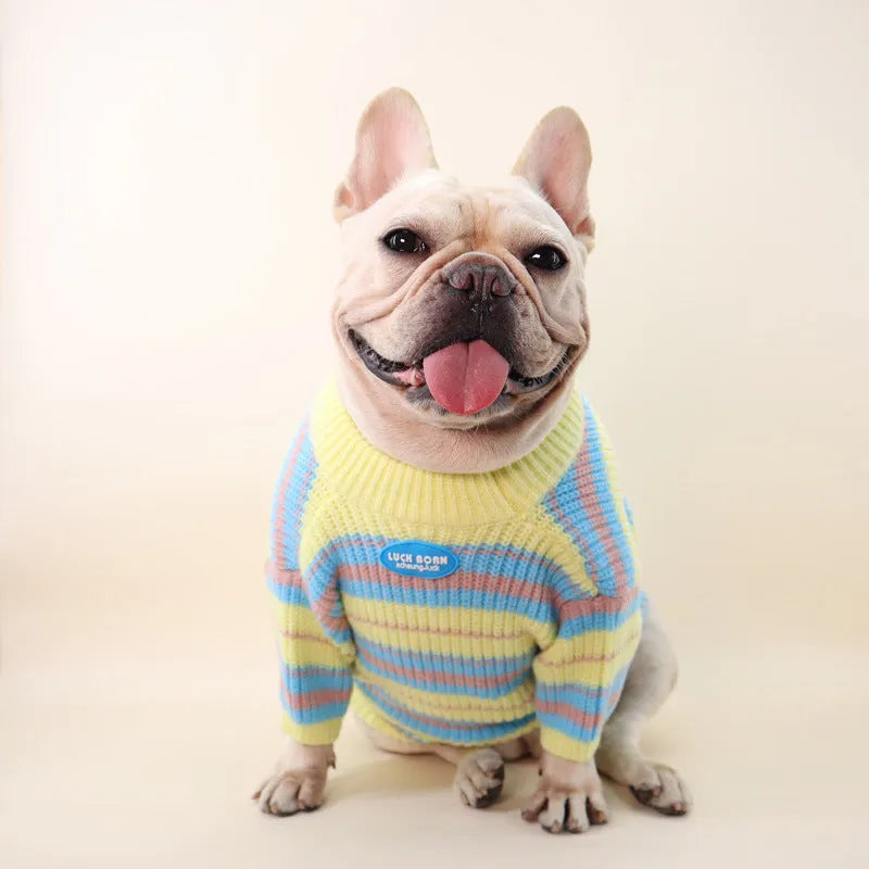 Blue and yellow striped wool dog sweater for small breed dogs in casual style