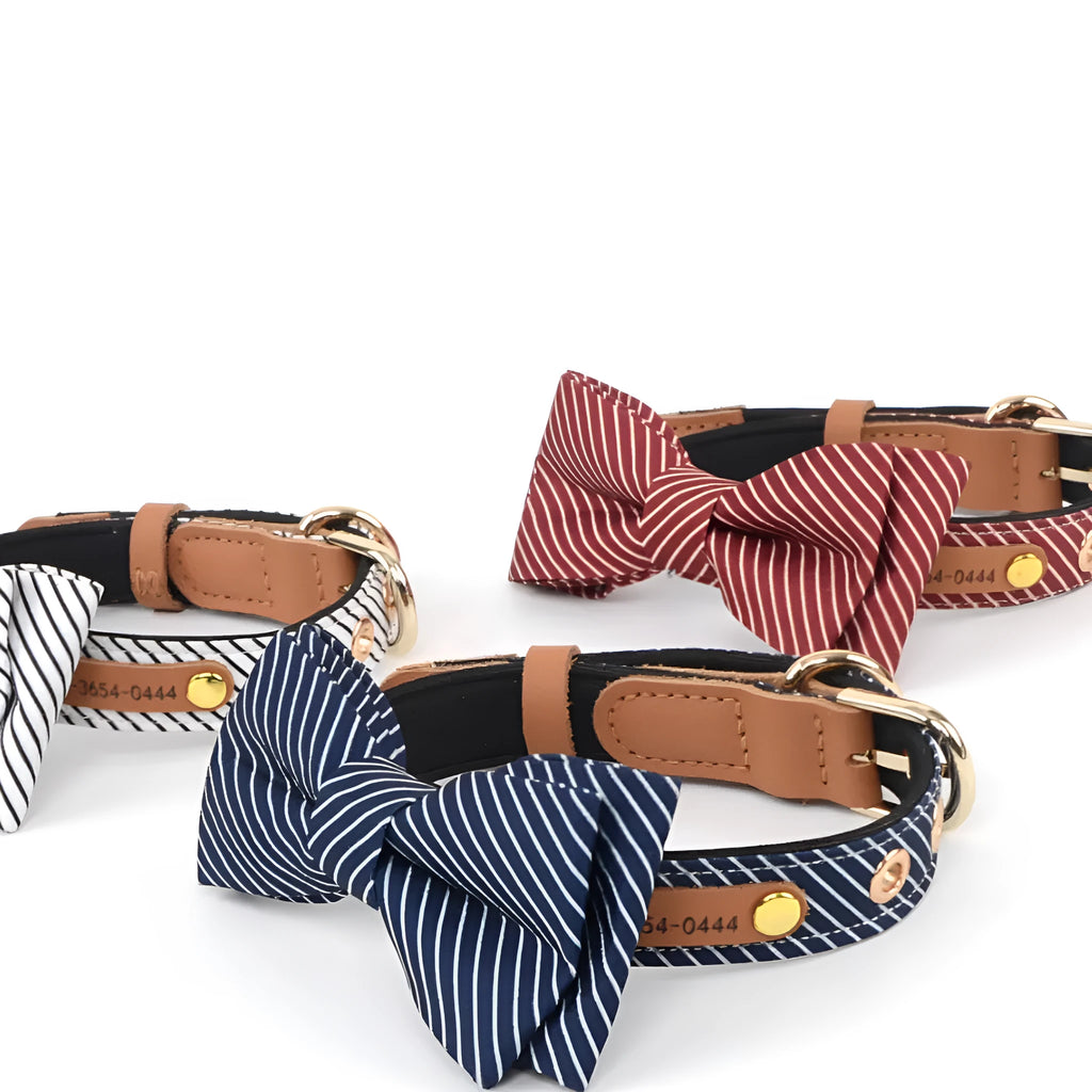 White cotton dog collar with a detachable red bow and optional leather name lettering on a dog.