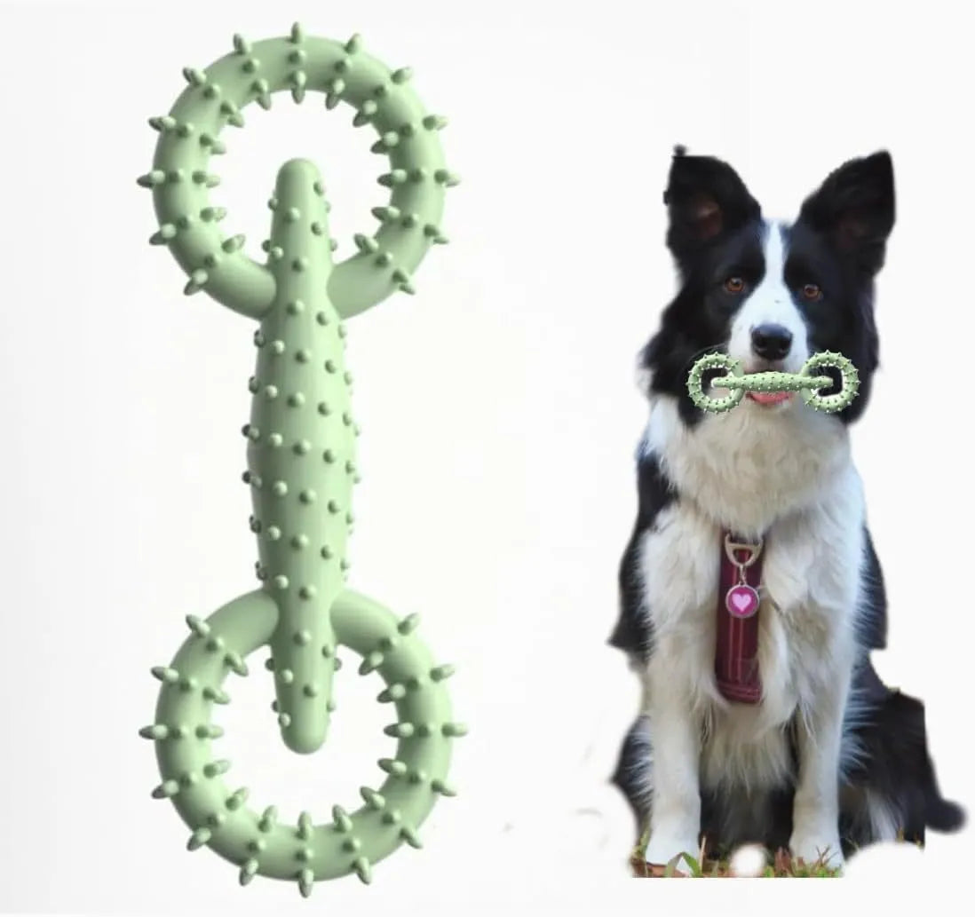 Blue TPR dog chew ring toy for puppy teething and safe chewing