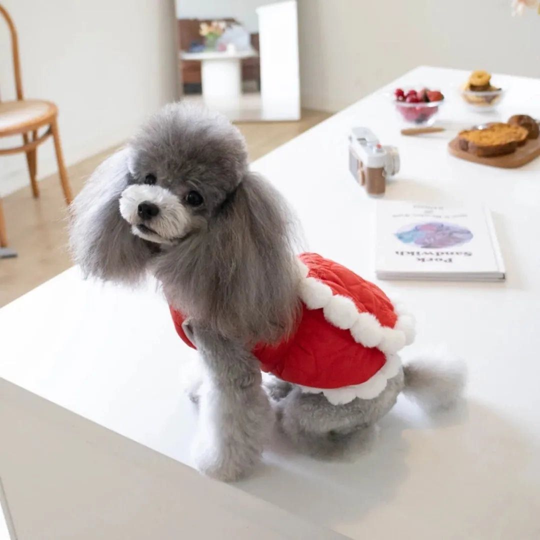 Red cotton dog jumper with Chinese knot design for festive pet clothing
