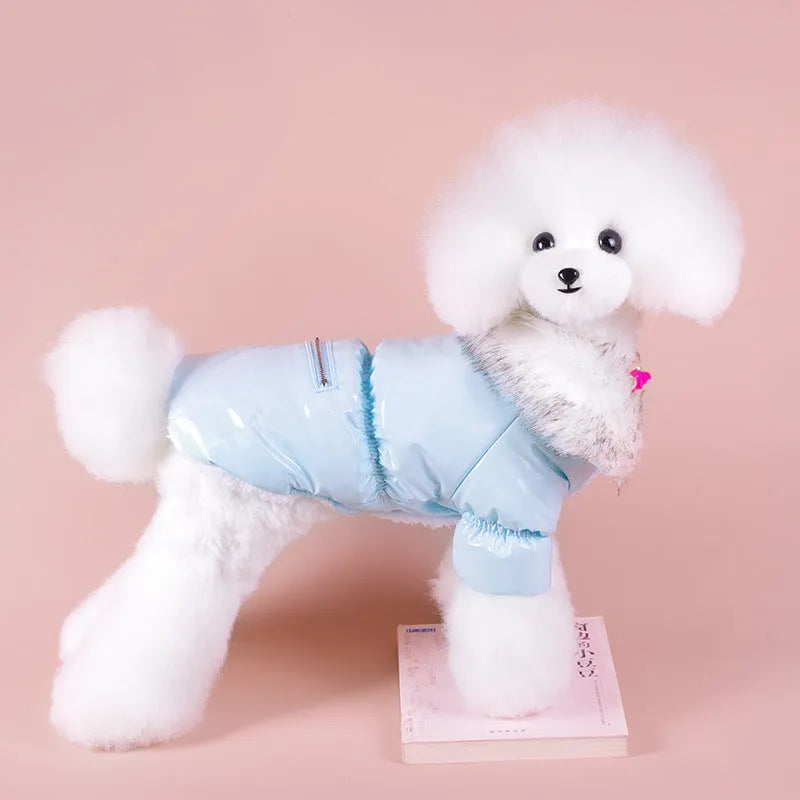 Blue British-style cotton puppy jacket for winter warmth on small dog
