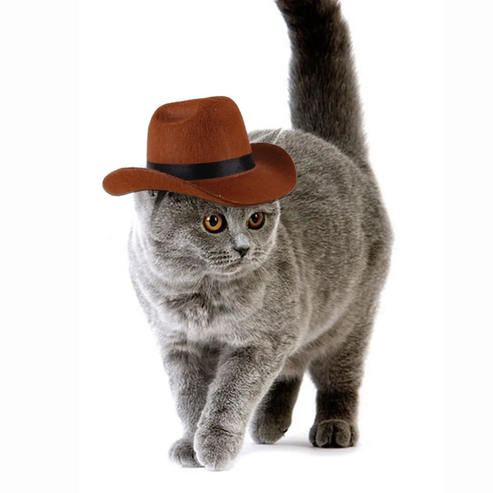 Adjustable pet dog cowboy hat in brown shown on a small dog for size reference.