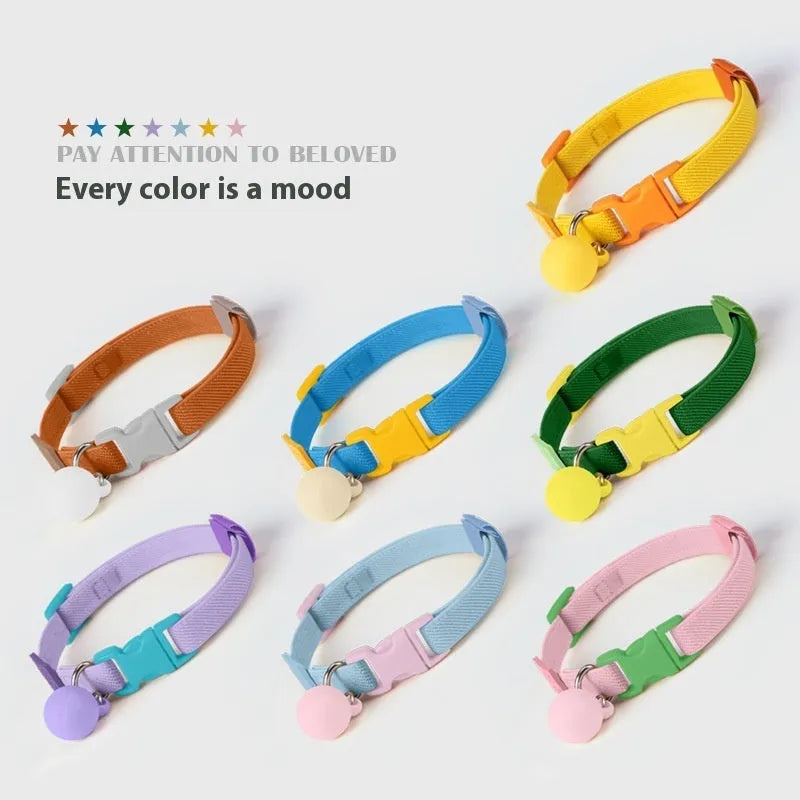 Small dog elastic pet collar in seven colour options: yellow, pink, sky blue, purple, brown, dark blue, dark green