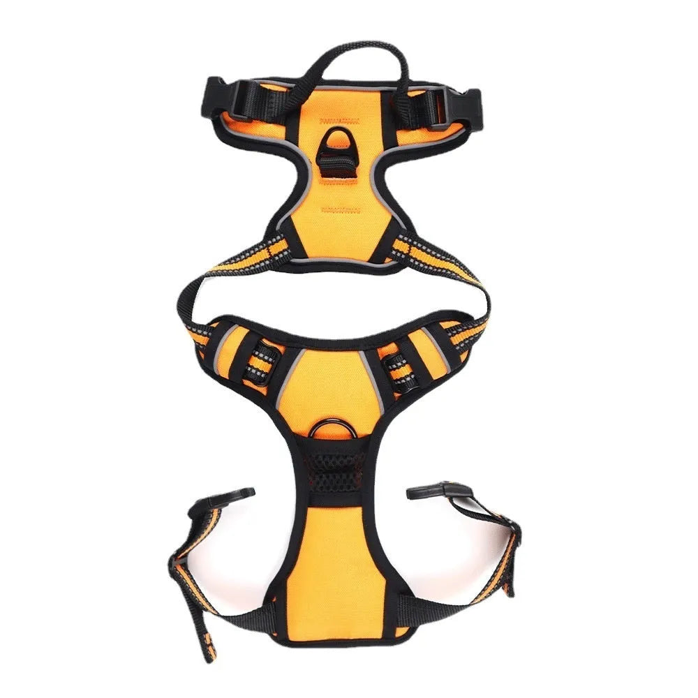 Adjustable outdoor dog harness in Oxford cloth shown in multiple colours and sizes.