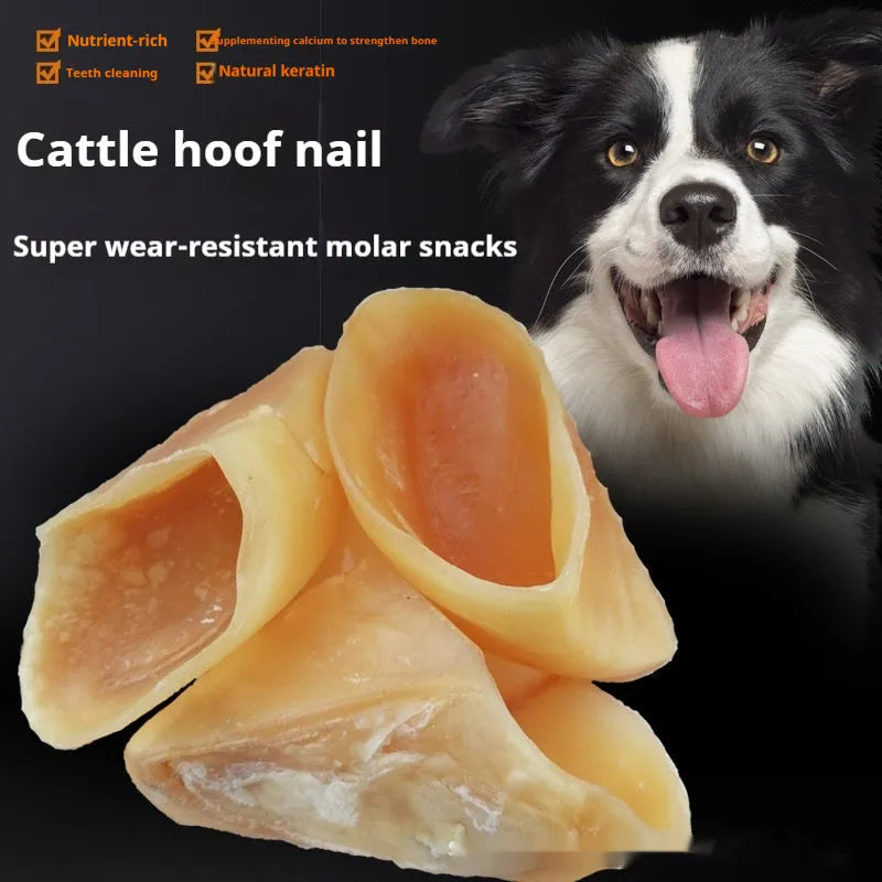 Natural hoof shell coloured cowhide dog chew grinding rod on a white background.