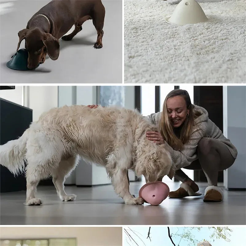 Green interactive dog puzzle chew toy with hidden treat slots on a wooden floor.