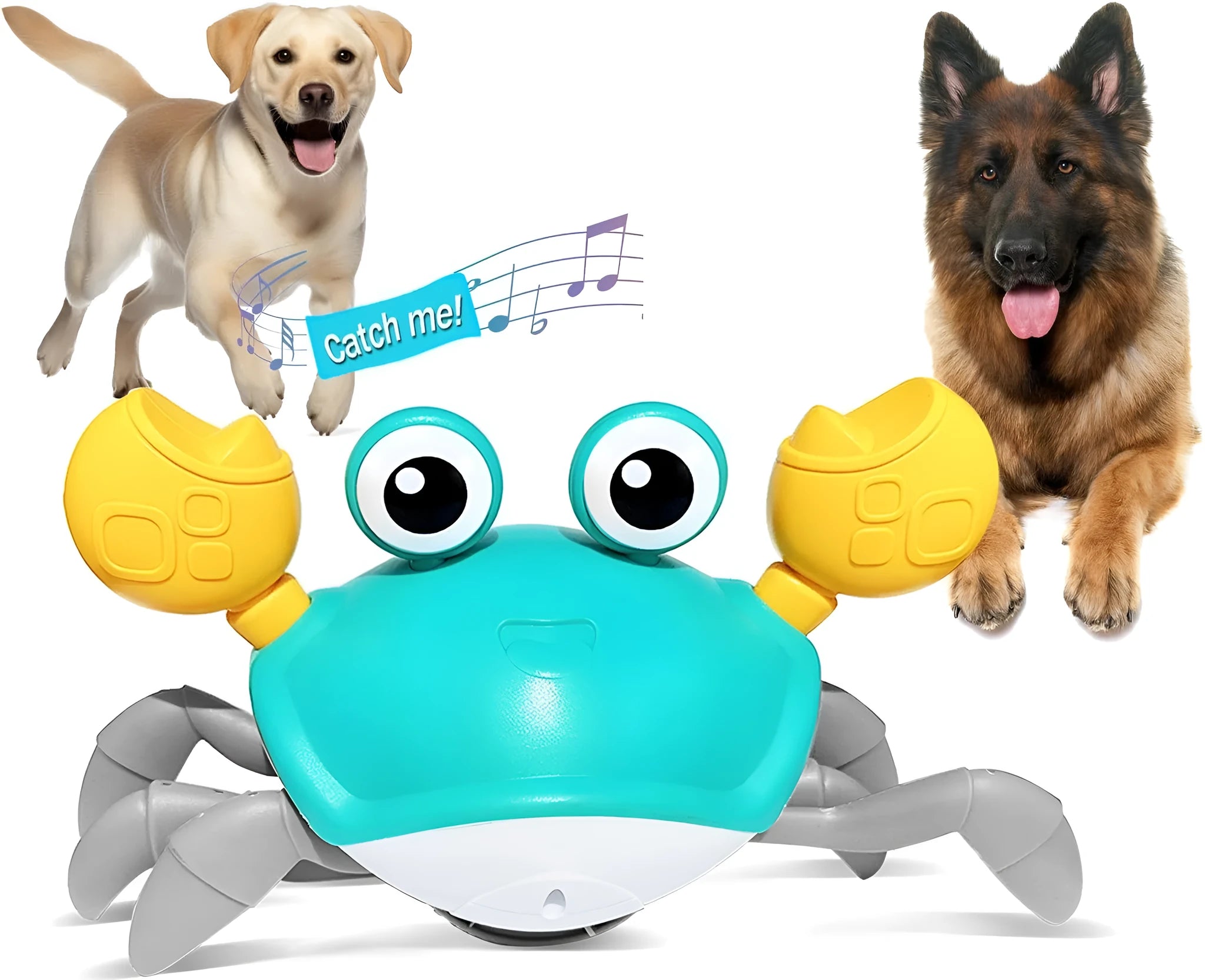 Blue or red electronic crab dog toy with obstacle avoidance sensors, moving sideways on a floor.
