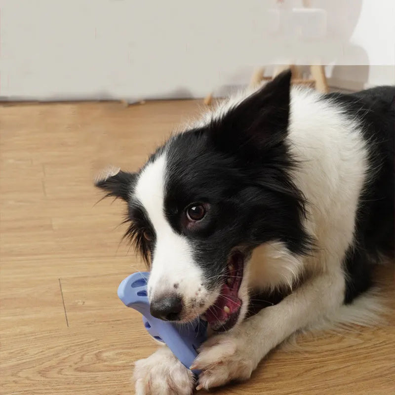 Blue boomerang-shaped dog chew toy with textured molar surface for dental cleaning