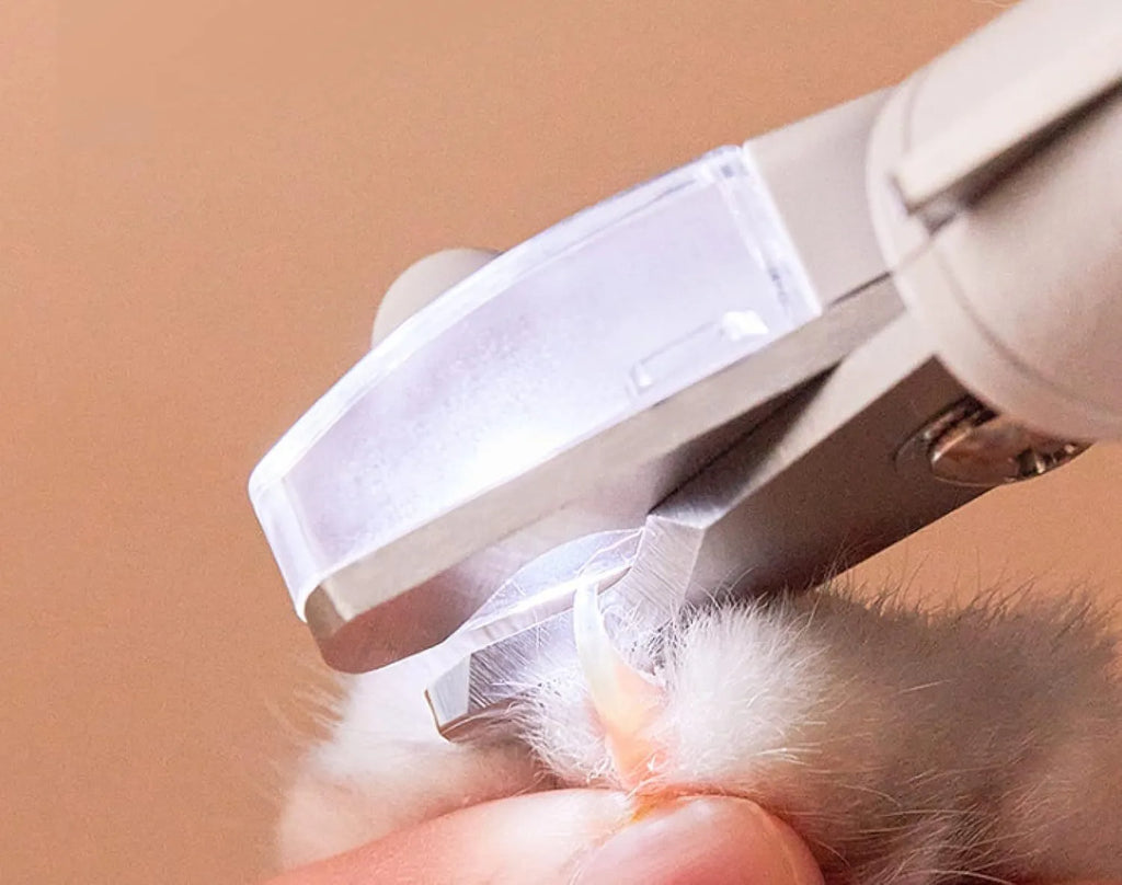 White LED pet nail clippers for cats and dogs with open transparent safety guard and nail file.