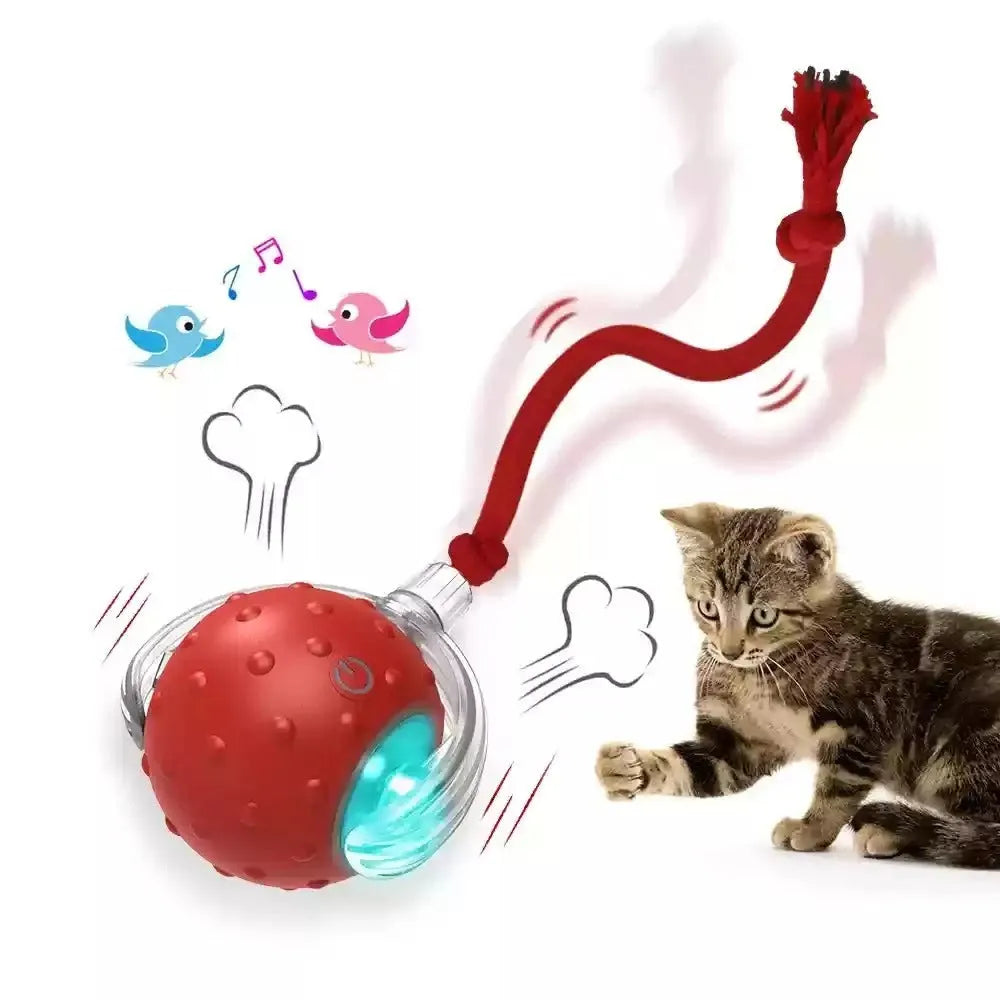Interactive cat toy ball with feather tail and LED lights in red colour option