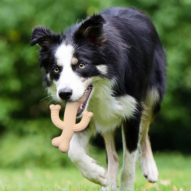 Cactus-shaped dog chew toy in bamboo fibre and rubber available in small and large sizes