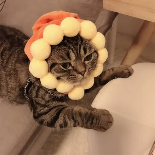Cloth cat headdress with embroidered sunflower design for pet dress-up occasions