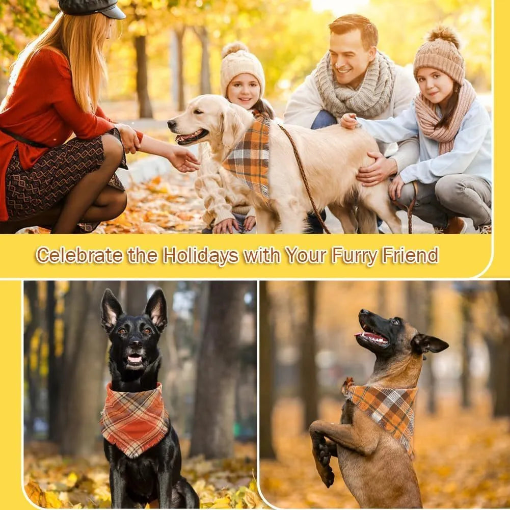 Plaid triangle dog bandana with tassels in autumn colours on a dog's neck.