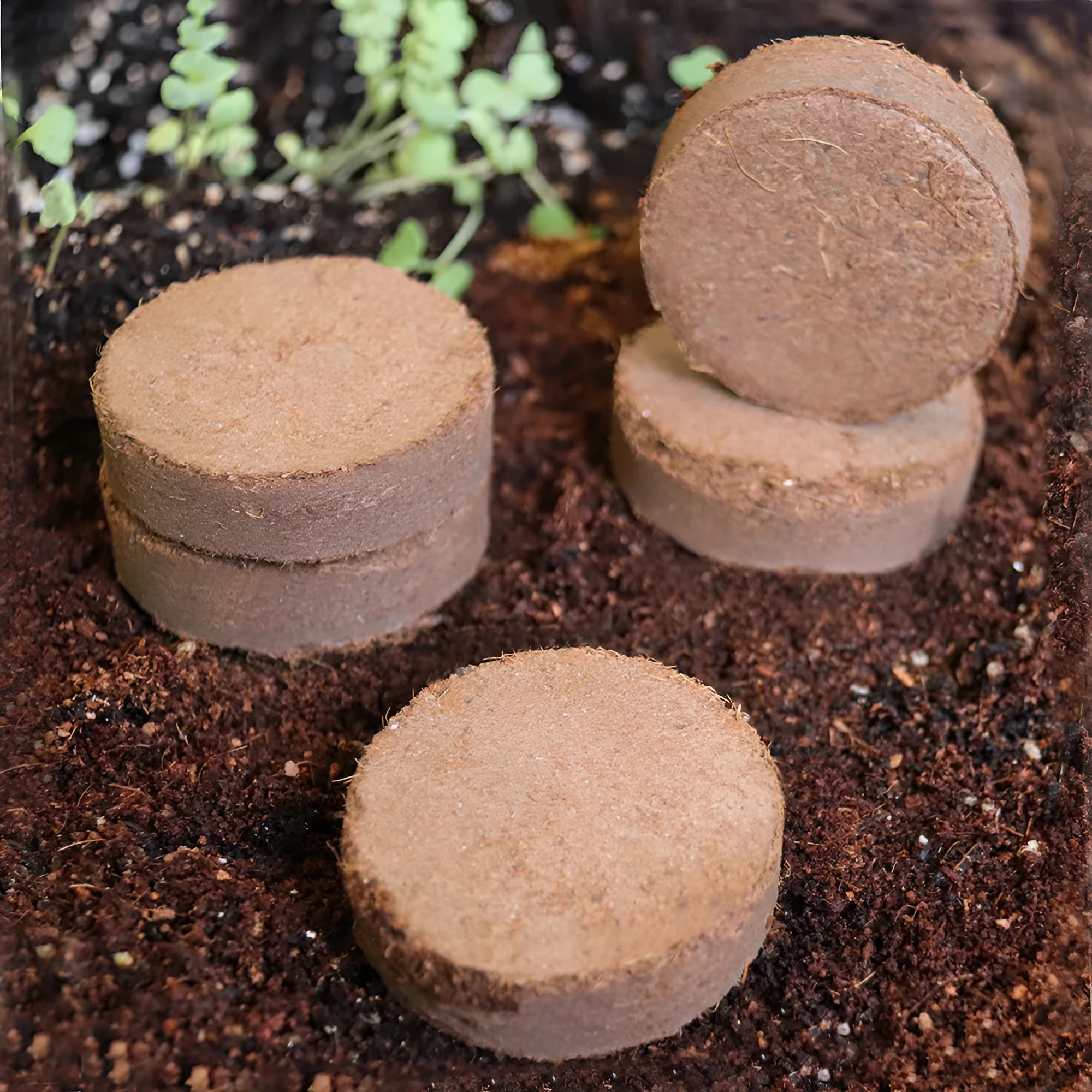 Nutrient soil medium vegetable planting and seedling blocks in various sizes for garden cultivation