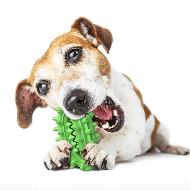 Green cactus-shaped dog toothbrush toy for aggressive chewing and dental care