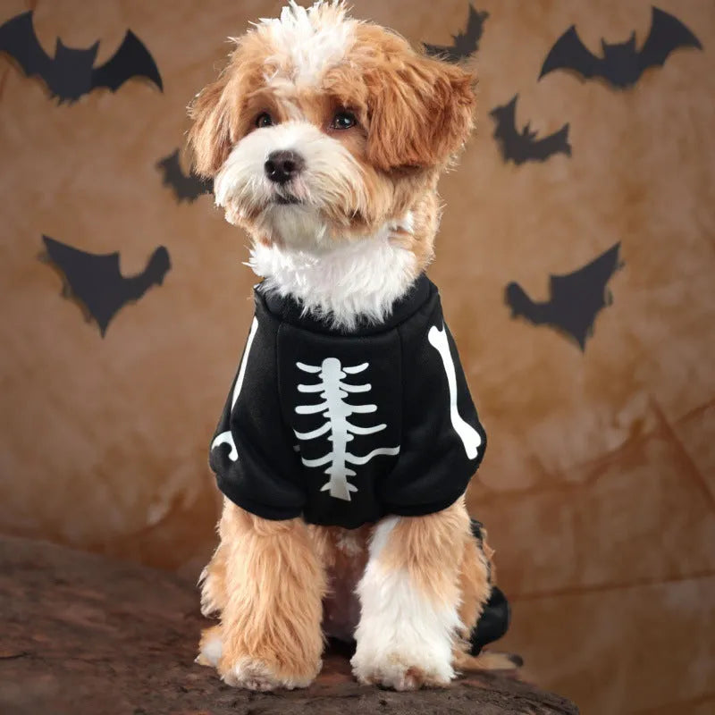 Halloween pet clothing with luminous skull bones pattern on four-legged dog costume