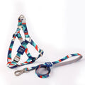 Blue polyester dog harness and lead combo set showing adjustable chest strap and attached rope.
