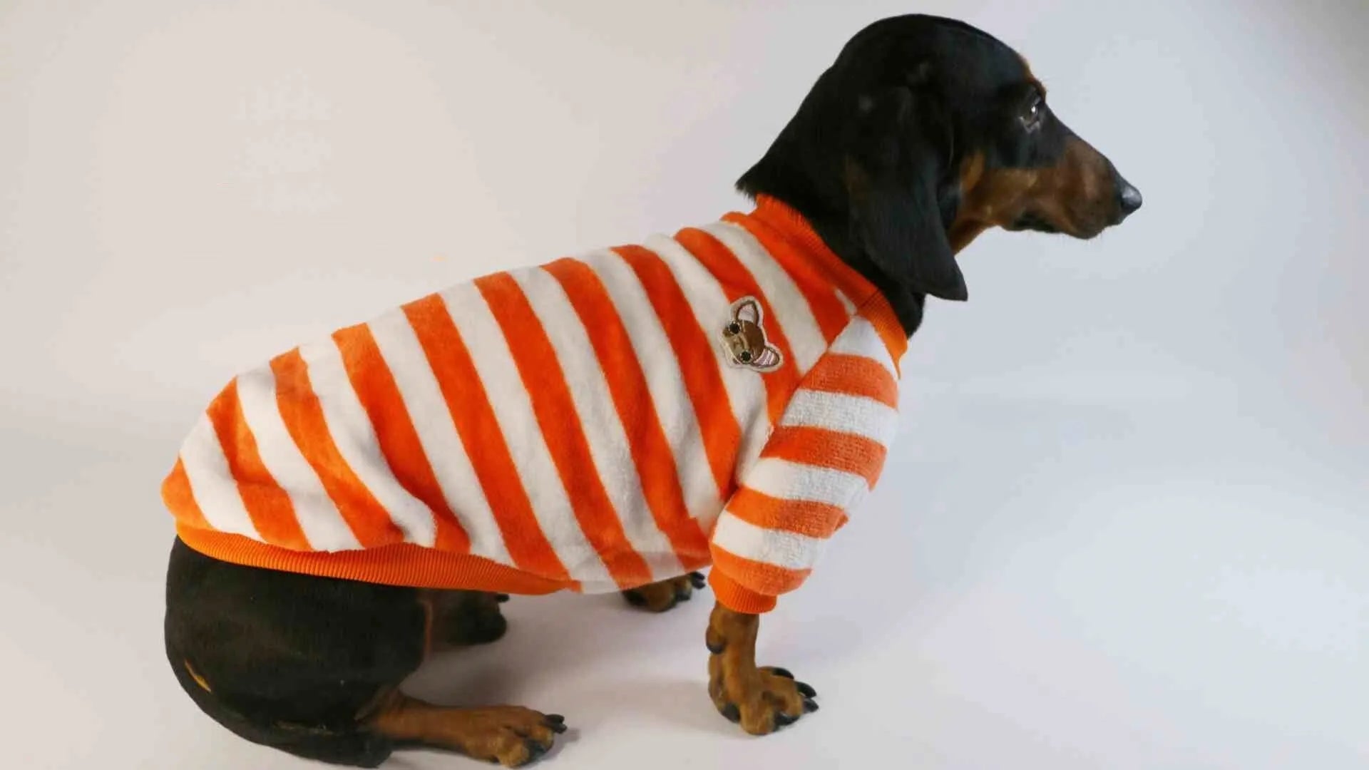 Striped casual sweatshirt for a dog or cat with a round neck, shown in orange-red and white stripes.