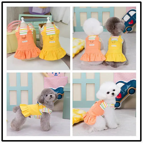 Striped orange and yellow patchwork cotton skirt for dogs on various sized breeds