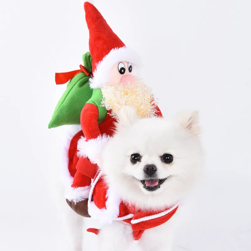 Halloween dog costume selection showing bat suit, devil outfit and pumpkin pack designs