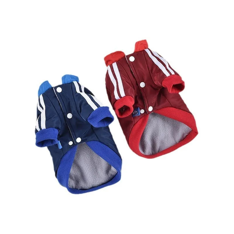 Red cotton dog coat with V-shaped splicing design on a dog