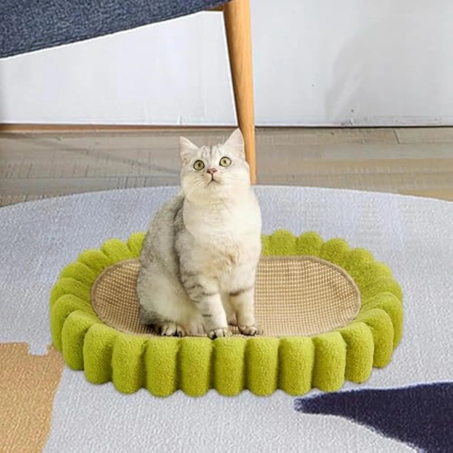 Green oval cat scratch pad bowl bed with sisal scratching surface measuring 650mm by 420mm