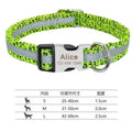 Nylon dog collar with quick-release buckle in black, green, and rose red colours showing S, M, L size options