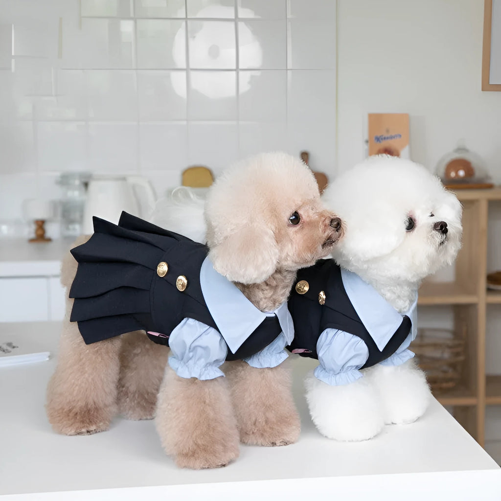 Dark grey casual-style dog clothing on a mannequin, showing polyester fabric and simple design.