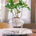 Hexagonal wood grain magnetic levitating flower pot floating above matching base