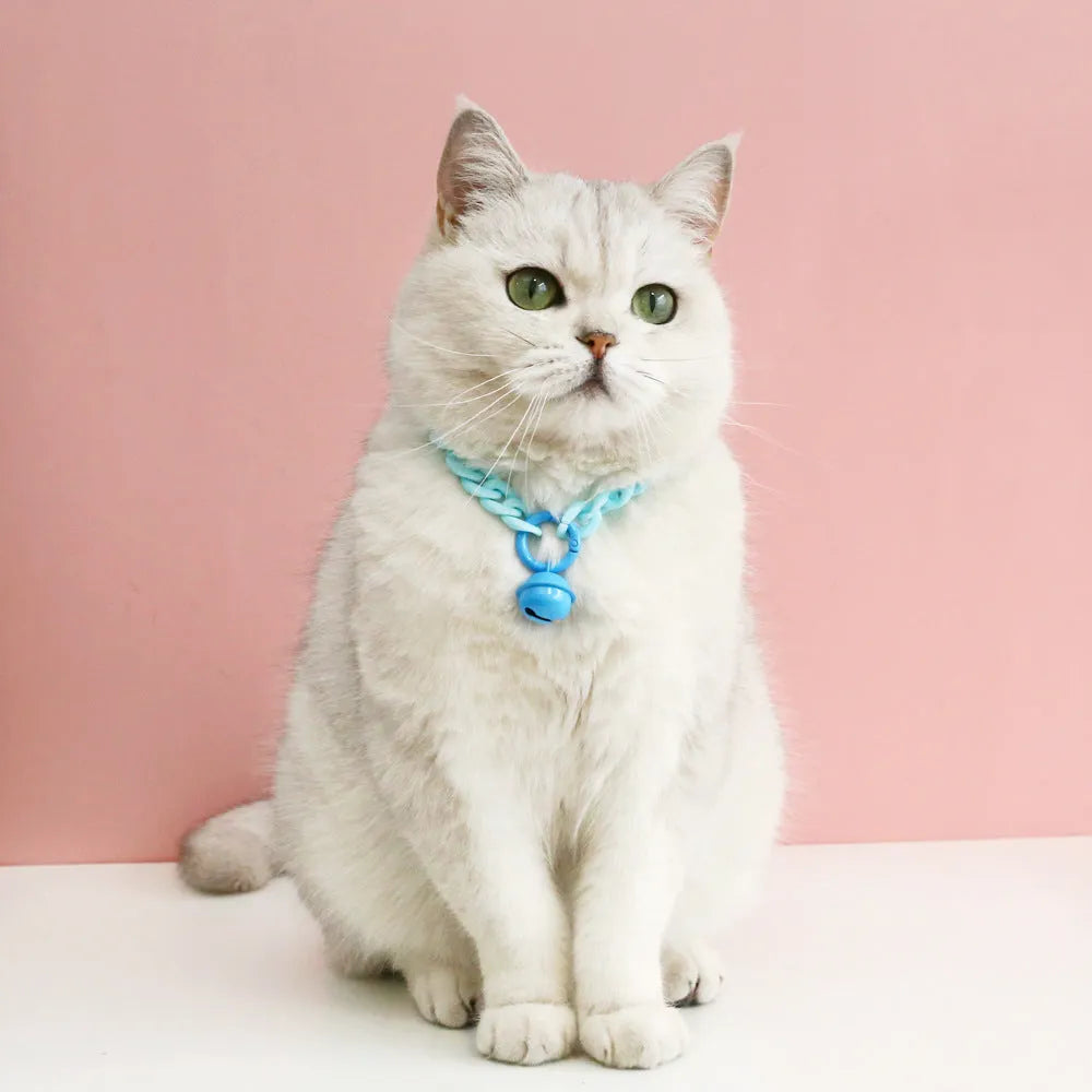 Macaron candy colour plastic pet collar on a white background, showing chain blue, pink, and mixed colour options for cats, dogs, and rabbits.