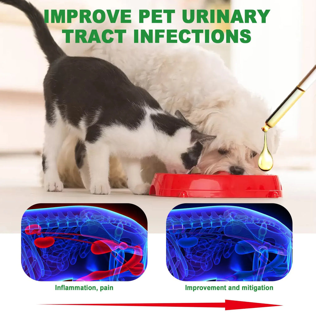 60ml bottle of natural pet care drops with dropper, containing cranberry and echinacea extract.