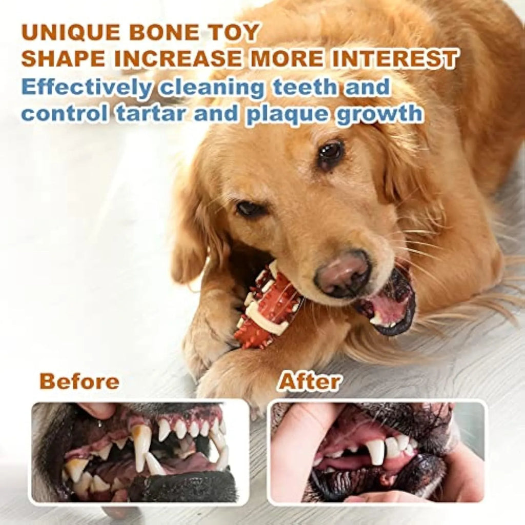 Natural rubber bone-shaped dog chew toy for dental health.