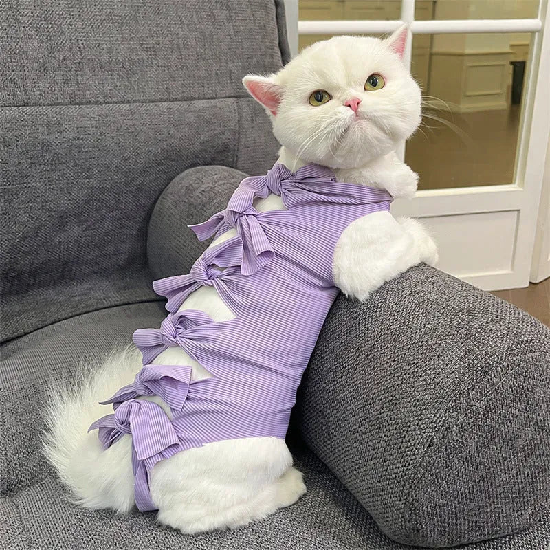 Pink lace-up cat sterilisation clothing for post-operation recovery on a small cat.