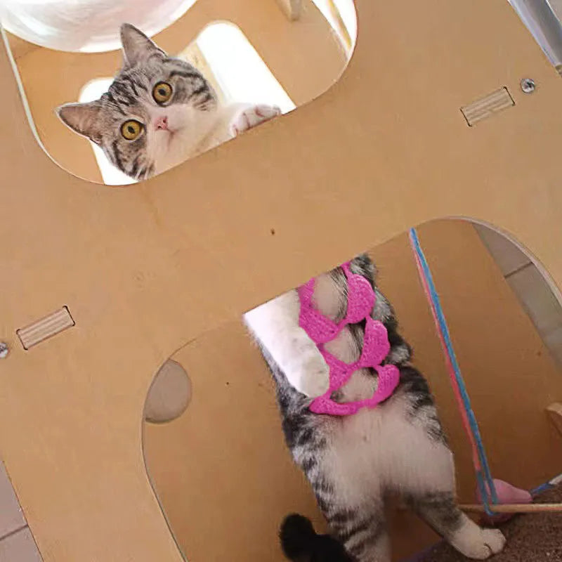 Cat wearing bikini costume in multiple colour options for Halloween and party events
