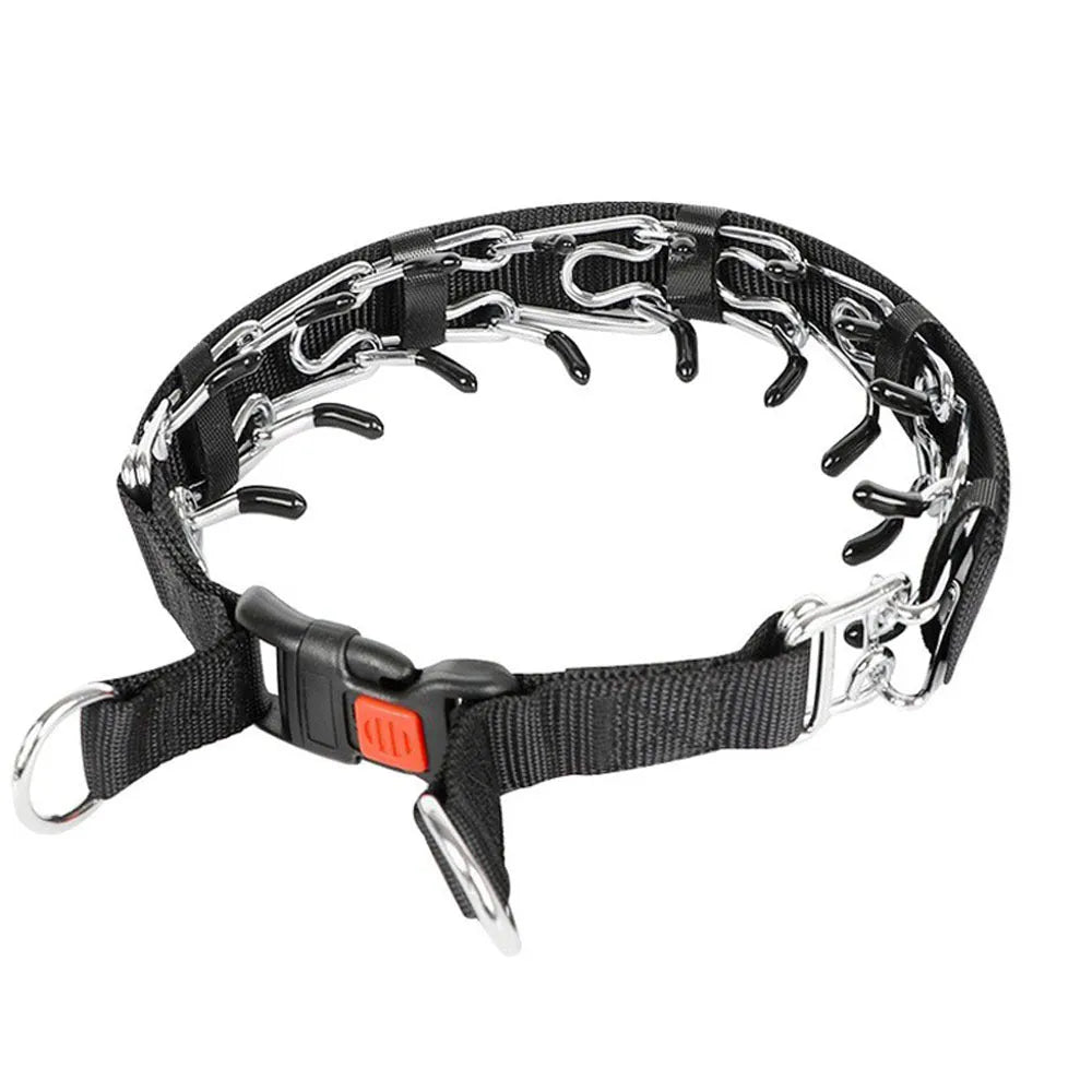 Close-up of a metal chain dog training collar with spike links, shown in reflective blue colour.