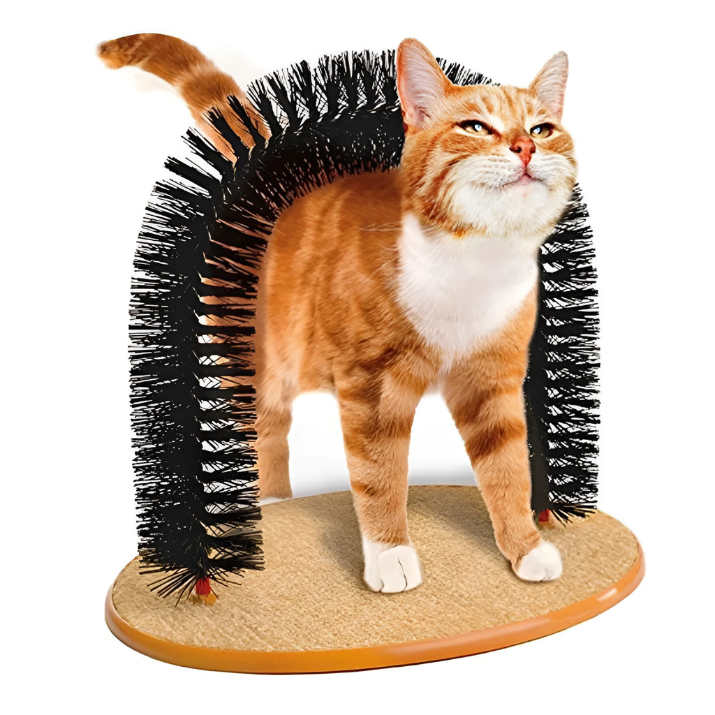 White plastic arched cat grooming toy with a built-in brush for scratching and rubbing.