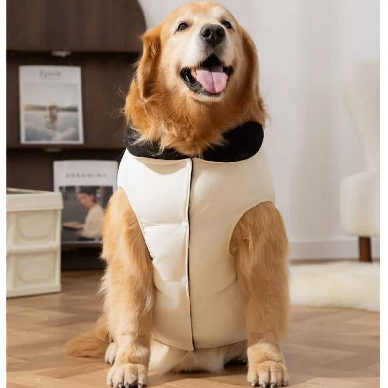 Thick cotton-padded dog vest for large breeds with zipper pocket and red border trim on a Golden Retriever