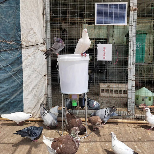 Solar panel automatic chicken and duck feeding machine with timer display and watertight casing.
