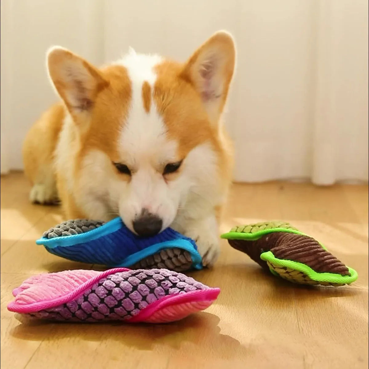 Blue teddy dog toy with a sound bone model and soft corn fleece lining