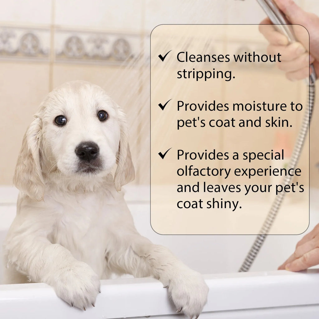 Bottle of mild pet shampoo for dogs and cats in 100ml or 300ml size
