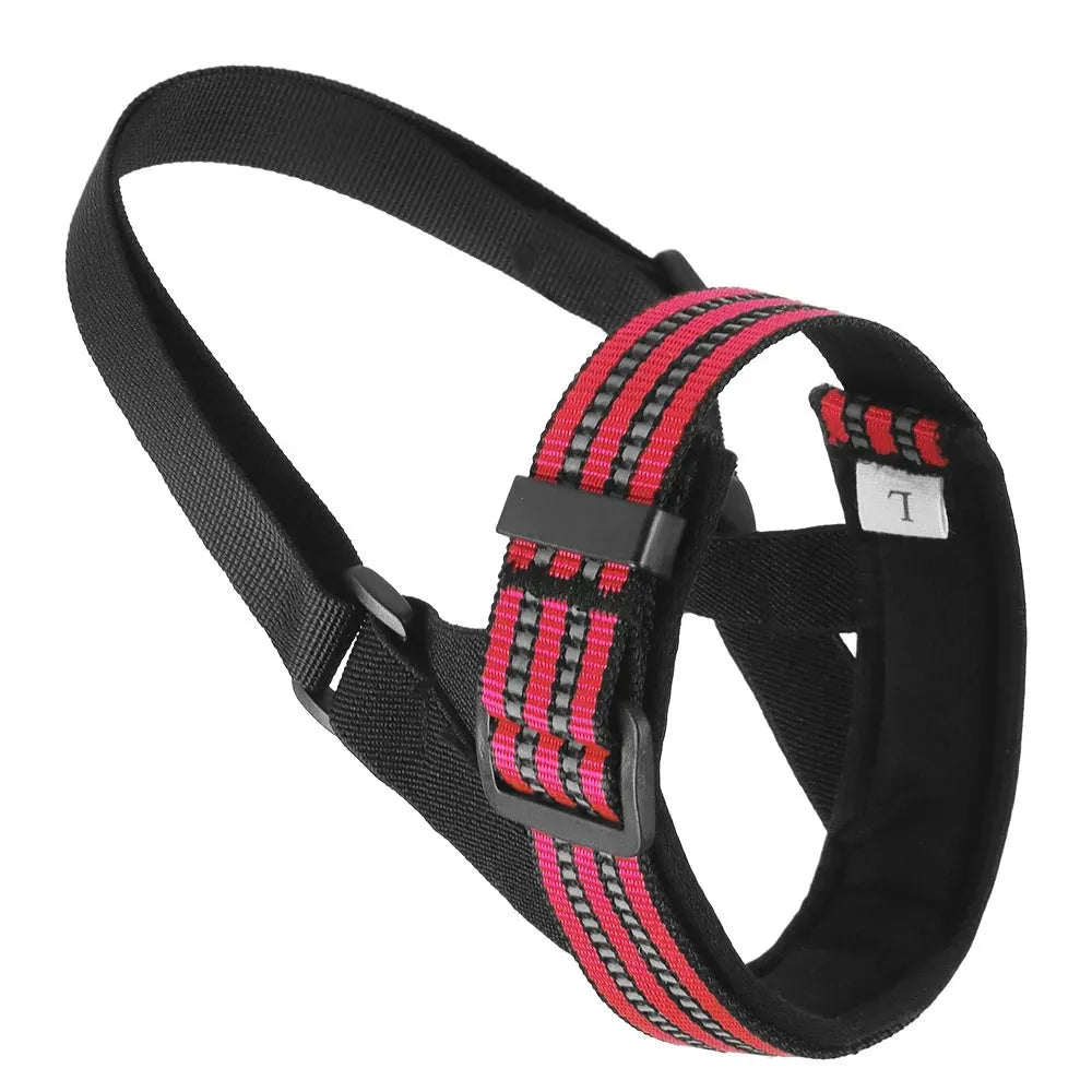 Adjustable reflective dog muzzle in blue, shown on a large dog model, with straps and nose-guard visible.