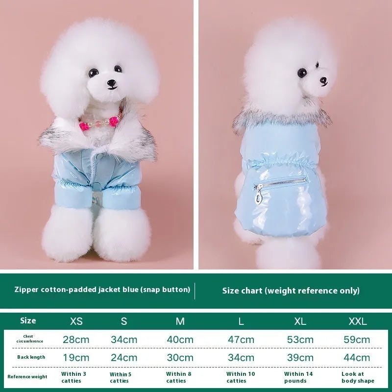 Blue British-style cotton puppy jacket for winter warmth on small dog