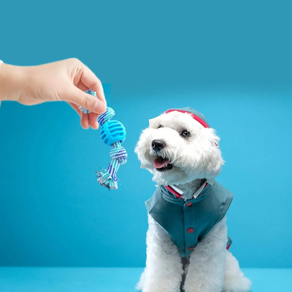 Blue silicone dog chew toy with woven cotton ropes in molar stick design