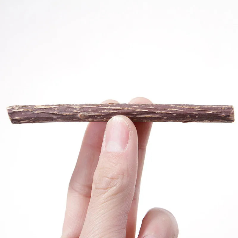 Five 15g pet cat molar rod dental chews in molar rod flavour for adult cats teeth cleaning