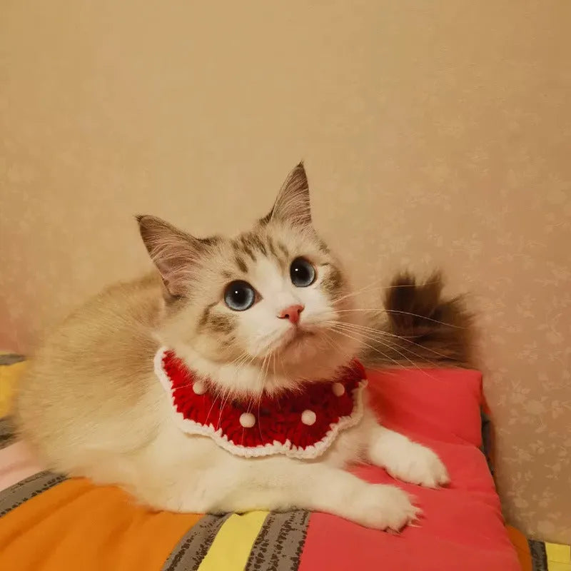 Cartoon pattern wool knitted pet collar for cats dogs rabbits in custom colours
